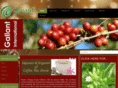 gallantintl.com