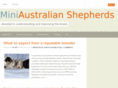 miniaussieshepherd.com