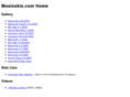 mosinskis.com