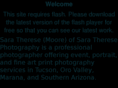 saratheresephotography.com