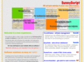 sunnyscript.com