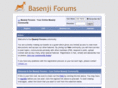 basenjiboard.com