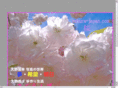 sakura-japan.com