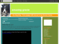 amazinggraciedog.com