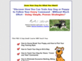 beyondobediencetraining.com