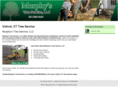murphystreeservicellc.com