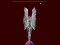 white-phoenix.com