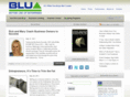 bottomlineupenterprises.com