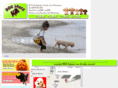 dogspace.net