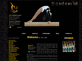 getleotards.com