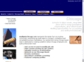 chicagoauditjobs.com