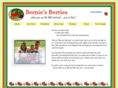 berniesberries.com