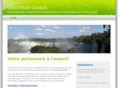chauveauconsult.com