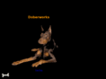 doberworks.com