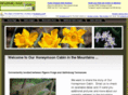 ourhoneymooncabin.com