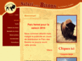 parcdesbisons.com