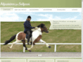 alfasteinn.com