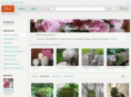 bymaureen.com