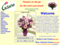 critsersflowersandgifts.com