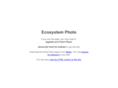ecosystemphoto.com