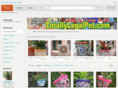 totallylegalpot.com