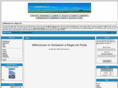 e-flieger.net