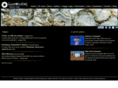 lucemozioni.com