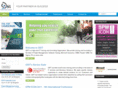 qsitglobal.com