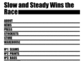 slowandsteadywinstherace.com