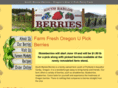 southbarlowberries.com
