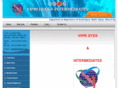 vipridyes.com