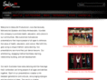 salsa29.com