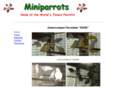 miniparrots.com