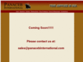 panacebinternational.com