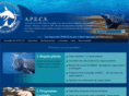 asso-apecs.org