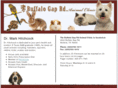 buffalogaprdanimalclinic.com