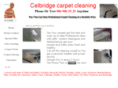 celbridgecarpetcleaning.com