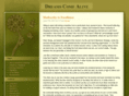 dreamscomealive.com