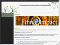 ethnicimpact.net