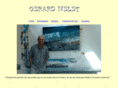 gerard-melet.com