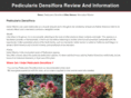 pedicularisdensiflora.com
