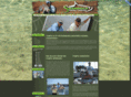 tampa-fishing-tournaments.com