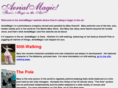 aerialmagic.com
