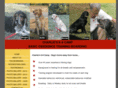 charliesk-9camp.com
