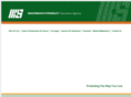 msinsagency.com