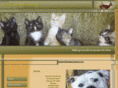 petfoodpantryauburn.com