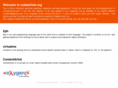 codeartists.org