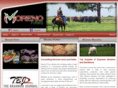 morenofirms.com