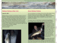 nywalleyeguide.com