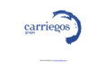 construccionescarriegos.com